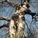 Фотография Николиной Анны