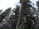 Ігор Кухар фотография #20 (источник - https://vk.com/id154320503)