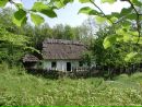 Віра Плотнікова фотография #38 (источник - https://vk.com/id162868922)