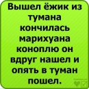 Андрій Гримак фотография #15 (источник - https://vk.com/id185314301)