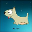 Фотография Бороздина Сергея