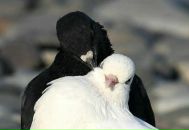 Фотография Синельниковой Галины
