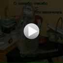 Славік Можайко фотография #3 (источник - https://vk.com/id159025639)