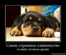 Максим Масленіков фотография #6 (источник - https://vk.com/id151572465)