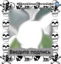 Фотография Nabokov Dima