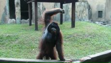 Фотография Панкова Владимира