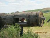 Фотография Смирнова Егора