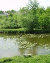 Юлія Нетесенюк фотография #30 (источник - https://vk.com/id26942857)