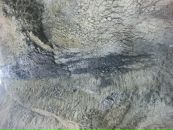 Ольга Валуева фотография #46 (источник - https://vk.com/id74727458)