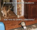 Nаталія Nаталія фотография #46 (источник - https://vk.com/id54485185)