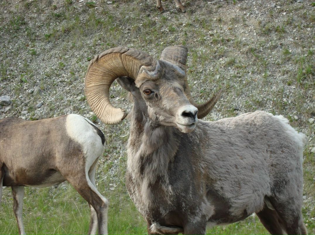 Игорь Бойко фотография #41