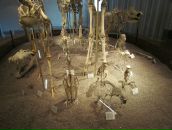 Леша Ионов фотография #15 (источник - https://vk.com/id899355)