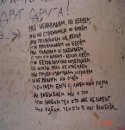 Ірочка Новачок фотография #30 (источник - https://vk.com/id145890401)