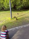 Paha Seta фотография #10 (источник - https://vk.com/id17711662)
