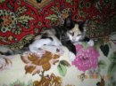Сергій Штефан фотография #16 (источник - https://vk.com/id32285263)