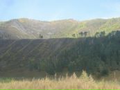 Фотография Поповой Ангелики