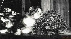 Фотография Артемьева Ивана