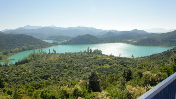 Елена Катич фото №2