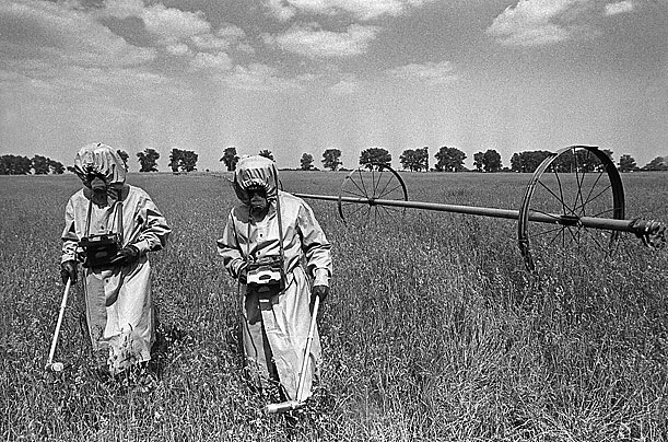 Lion Cat фотография #28