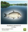 Вадім Цейко фотография #10 (источник - https://vk.com/id62605021)