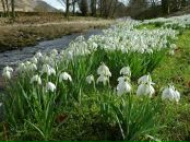 Зоряна Дирів фотография #13 (источник - https://vk.com/id44439157)