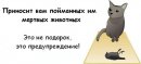 Дмитрий Тимченко фотография #45 (источник - https://vk.com/id4483760)