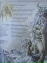Scatur Cervina фотография #22 (источник - https://vk.com/id113406680)