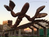 Фотография Романковой Натальи