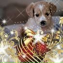 Іруньчик Гребещук фотография #16 (источник - https://vk.com/id150833130)