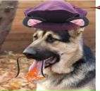 Ромік Коханський фотография #22 (источник - https://vk.com/id85755364)