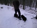Ігор Ігорьок фотография #46 (источник - https://vk.com/id150842114)