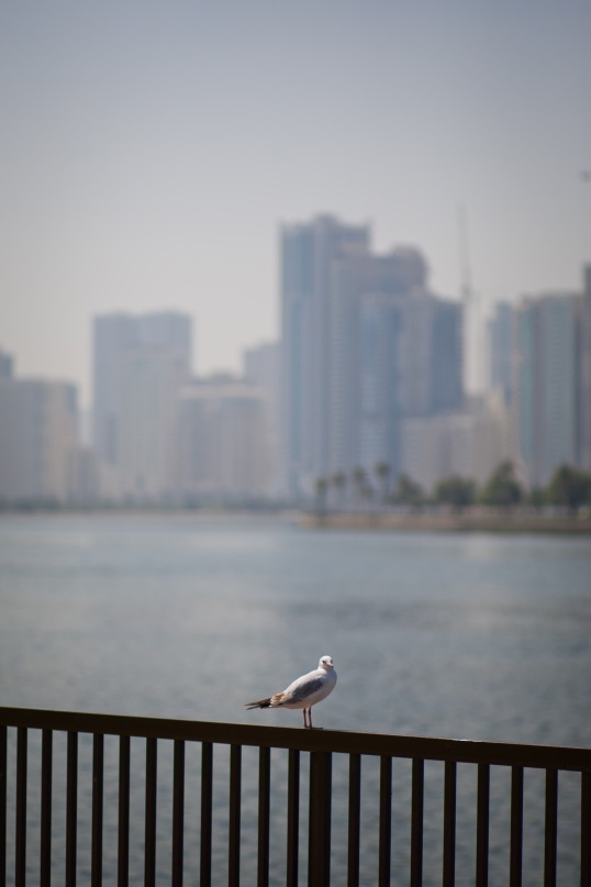 Сергей Макеев фотография #43