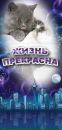 Вероніка Паламарчук фотография #19 (источник - https://vk.com/id135047116)