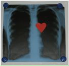 Фотография Мазиной Вероники