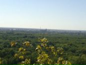 Сергей Кравченко фотография #39 (источник - https://vk.com/id28281088)