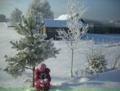 Фотография Алексеевой Натальи