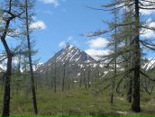 Эрдэм Гомбоев фотография #3 (источник - https://vk.com/id2299206)