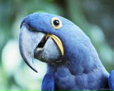 Едік Пивоваp фотография #5 (источник - https://vk.com/id56485908)