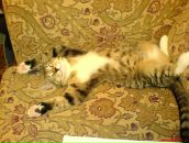 Фотография Александровой Ирины