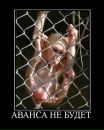 Фотография Уляшева Володи