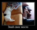 Сашко Піскун фотография #47 (источник - https://vk.com/id150759131)