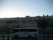 Софья Степанова фотография #48 (источник - https://vk.com/id4885727)