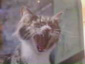 Фотография Савина Андрея