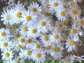 Фотография Артемьевой Ирины