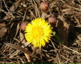 Фотография Марченко Алекс