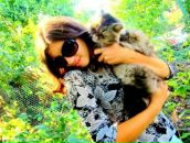 Іруська Кісе фотография #12 (источник - https://vk.com/id17591141)