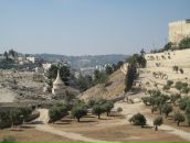 Лідзія Каўрыговіч фотография #25 (источник - https://vk.com/id6228044)