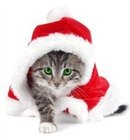 Сергей Заведенко фотография #34 (источник - https://vk.com/id4495953)