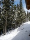 Олег Августінов фотография #23 (источник - https://vk.com/id4282370)