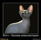 Фотография Шефер Любови